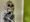 Halloween: Halloween Skelett an der Decke
