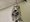 Halloween: Halloween Skelett an der Decke